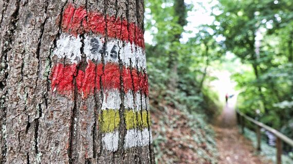 Markierung am Weg zur Ringwarte Hartberg