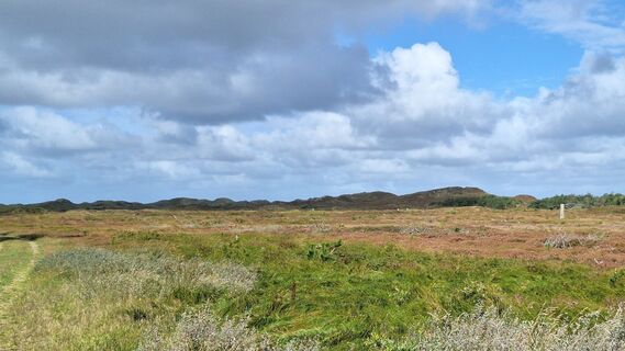 Zdjęcie z Thomas G. wzdłuż trasy