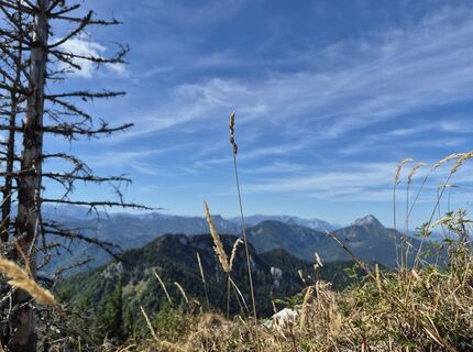 Foto de Reise5 Koenigin a lo largo del recorrido