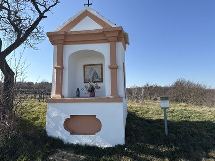 Fotografia z F. Shirazi-Joska na trase