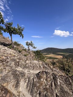 Foto von Gabriella Seregély entlang der Tour