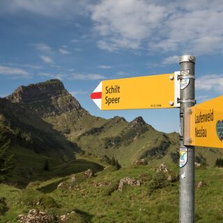 Wegweiser Richtung Speer