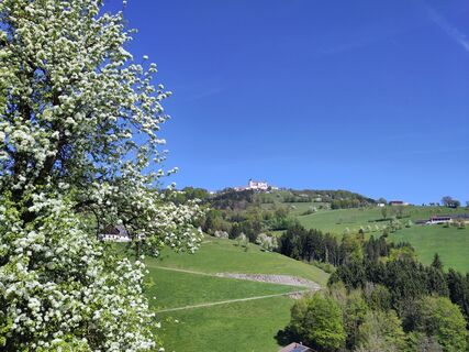 Fotografija s spletne strani Chr Lenz na poti