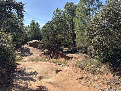 Fotografija s spletne strani Grizzli na poti