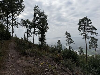 Foto de Vanessa Strauß a lo largo del recorrido