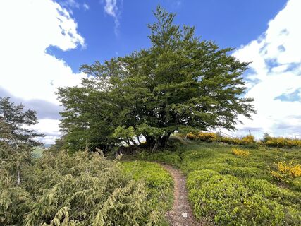 Fotografie z Olaf Mönig na trase