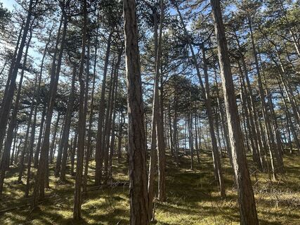 Fotó a Raphaela Kirschnick honlapról a túra során