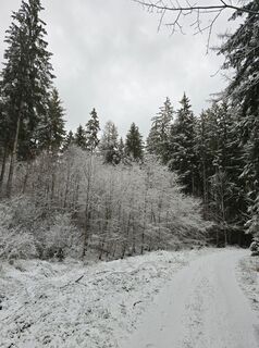 Photo de Alexander Rausch le long du parcours