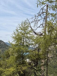 Foto von Margot Koll entlang der Tour