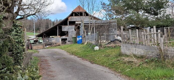Photo de Verena6 le long du parcours