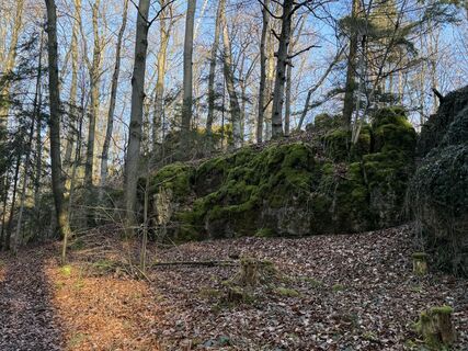Fotografie z Norbert Herbig na trase