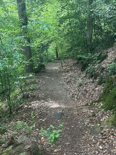 Foto de Thorsten Strüver a lo largo del recorrido