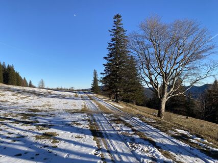 Foto de Verena Oberleitner a lo largo del recorrido