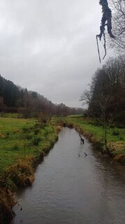 Foto de Koendebaere a lo largo del recorrido