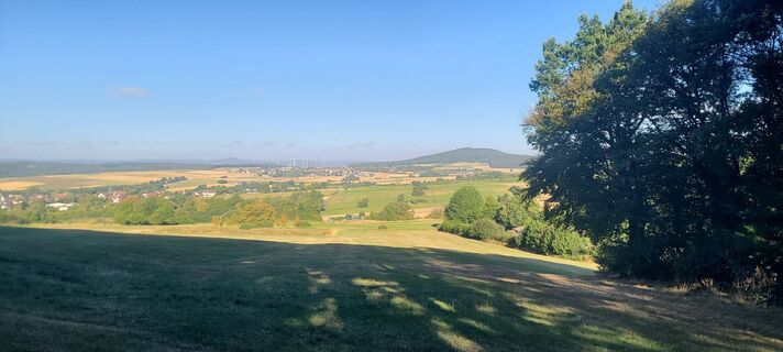 Photo de Wolf le long du parcours