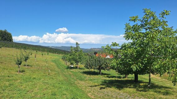 Fotografie z Susi na trase