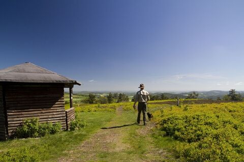 Ranger in der Usseler Heide