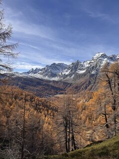 Fotografija s spletne strani Andrea Tarovo na poti