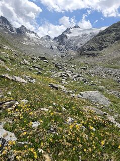 Photo de Gudrun Lippert le long du parcours
