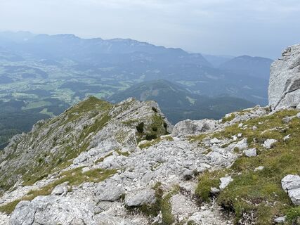 Foto von Natur_erleben_dg entlang der Tour