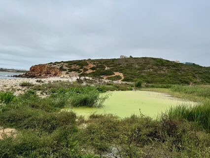 Zdjęcie z Heike Hadamus wzdłuż trasy
