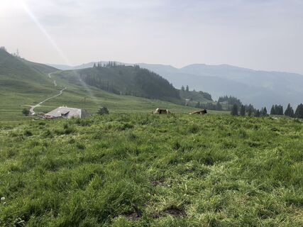 Foto von Peter Bolliger entlang der Tour
