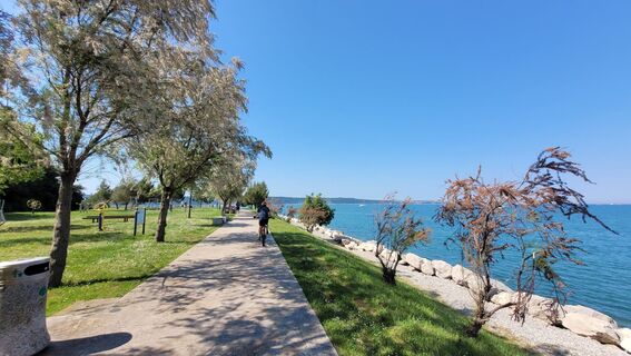 Fotografia z mtb@wexl na trase