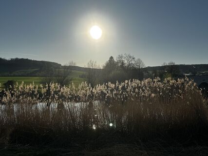 Fotografia z Schaali na trase