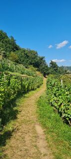 Foto från Hans Boria under resans gång