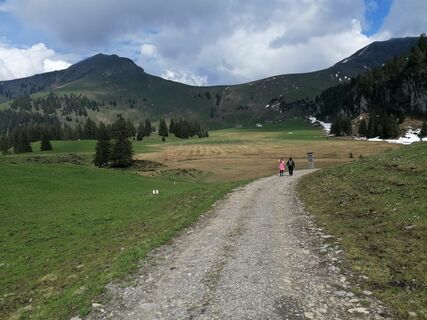 Foto von luyyy entlang der Tour