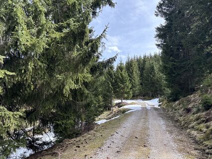 Foto von Similaun entlang der Tour