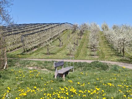 Foto von Sulger Rainer entlang der Tour