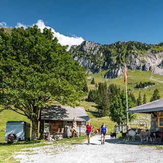 Hütte - Breccaschlund