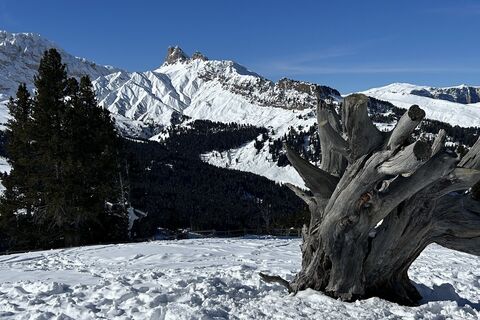 Fotografia z Thomas Fraundorf na trase