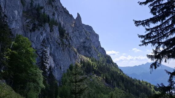 Foto von Roger Wilco entlang der Tour