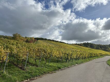 Photo de S Michel584 le long du parcours