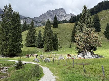 Fotografija s spletne strani Michael Heger 1 na poti