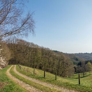 Natur pur