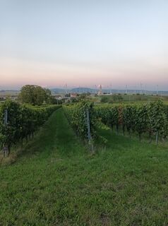 Fotografia z Gürtler Lubomir na trase