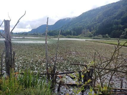 Fotografie de la Thomas Michalek 1 de-a lungul turului
