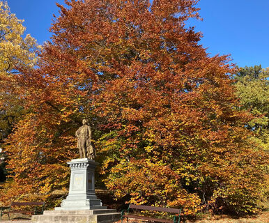 Park Bad Vöslau