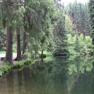 Werrateich