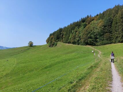 Fotografie de la Jens Brunner de-a lungul turului