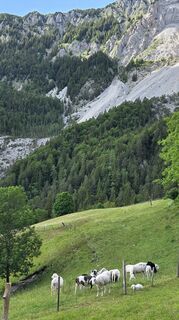 Photo de Klementina Gartner le long du parcours