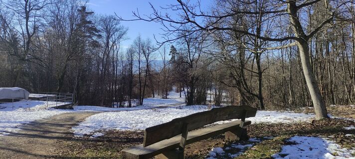 Fotografija s spletne strani Lukas Gradischnig na poti