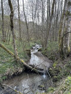 Foto von Babs Holz entlang der Tour