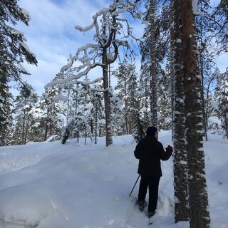 Lauttavaara Winter, Lentua Kuhmo Finnland