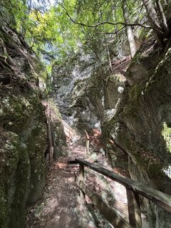 Foto de RS76 a lo largo del recorrido