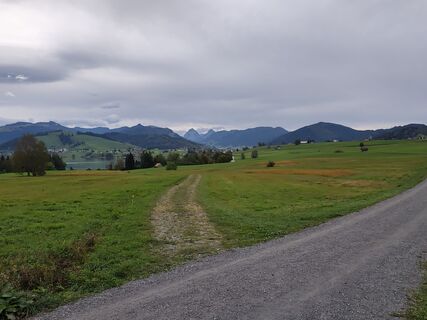 Foto de Peter Seliner a lo largo del recorrido