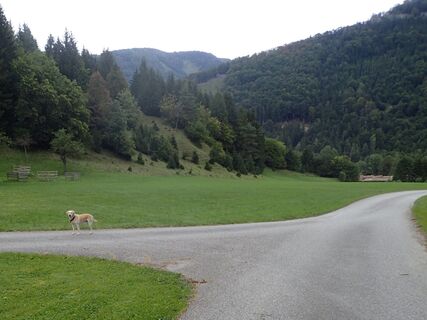 in Furthof